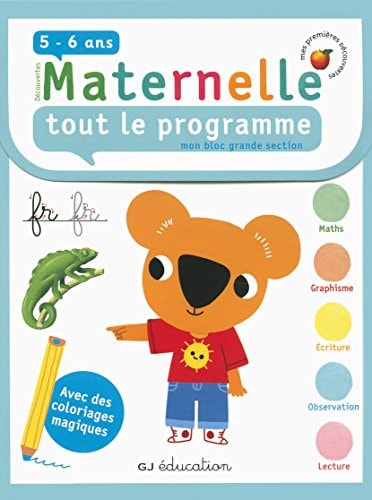 TOUT LE PROGRAMME BLOC GS, de Fabienne Rousseau | portada del libro
