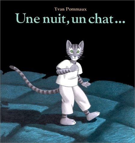 NE NUIT, UN CHAT..., de Yvan Pommaux | portada del libro