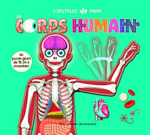 CONSTRUIS ET ANIME UN CORPS HUMAIN, de Anita Ganieri | portada del libro