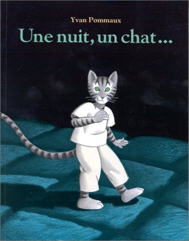 NE NUIT, UN CHAT..., de Yvan Pommaux | portada del libro