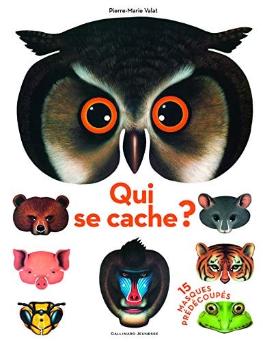 QUI SE CACHE ?, de Pierre-Marie Valat | portada del libro
