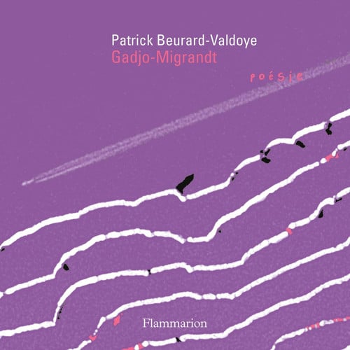 ADJO-MIGRANDT, de BEURARD-VALDOYE PATRICK | portada del libro