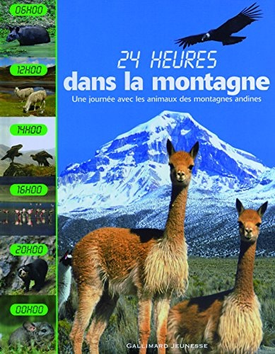 DANS LA MONTAGNE, de Fleur Star | portada del libro