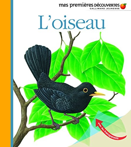 L'OISEAU, de Claude Delafosse | portada del libro