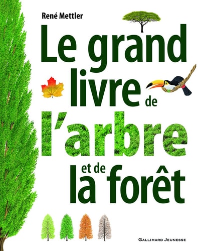 LE GRAND LIVRE DE L'ARBRE ET DE LA FORET, de Mettler | portada del libro