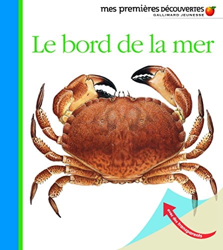 LE BORD DE LA MER, de Pierre de Hugo | portada del libro