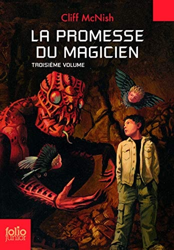 LA PROMESSE DU MAGICIEN, de Cliff McNish | portada del libro