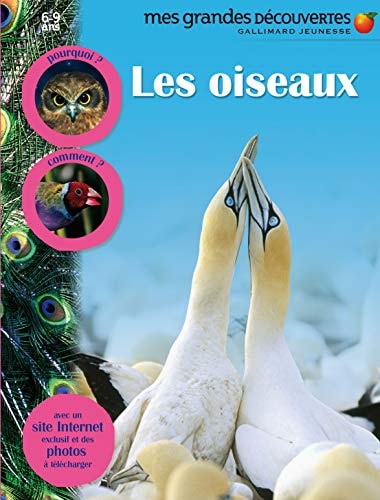 LES OISEAUX, de Michel Langrognet | portada del libro