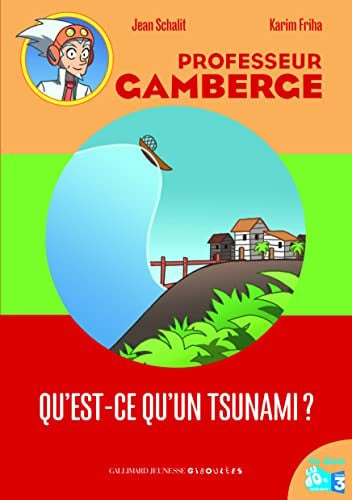 QU'EST-CE QU'UN TSUNAMI?, de SCHALIT | portada del libro