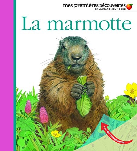 LA MARMOTTE, de Sylvaine Peyrols | portada del libro