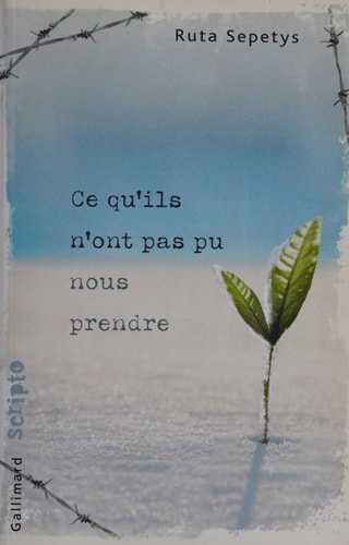 CE QU'ILS N'ONT PAS PU NOUS PRENDRE, de Ruta Sepetys | portada del libro