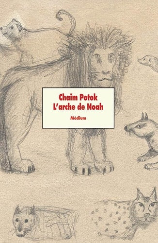 'ARCHE DE NOAH, de Chaïm Potok | portada del libro