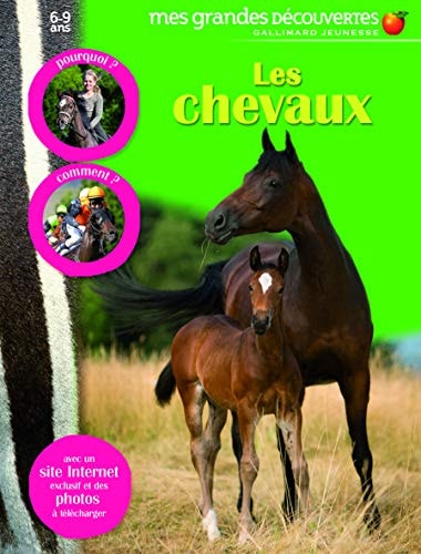 CHEVAUX ET PONEYS, de Caroline Stamps | portada del libro