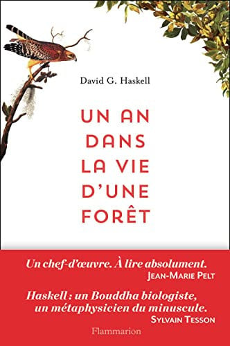 N DANS LA VIE D'UNE FORET, de HASKELL DAVID GEORGE | portada del libro