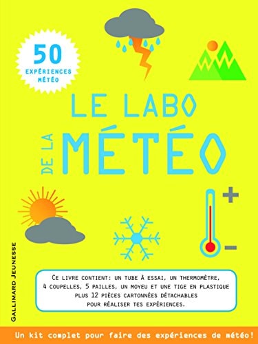 LE LABO DE LA METEO, de Lisa Regan | portada del libro