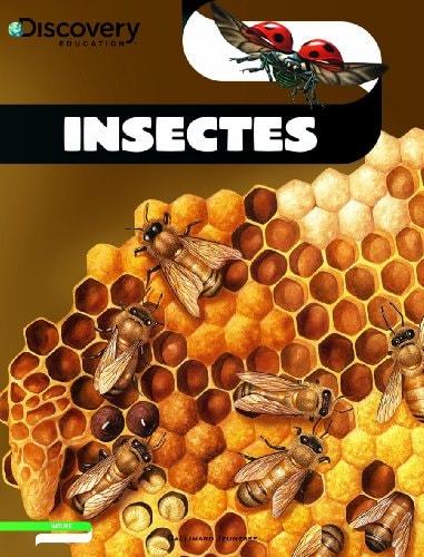 INSECTES, de Lesley McFadzean | portada del libro