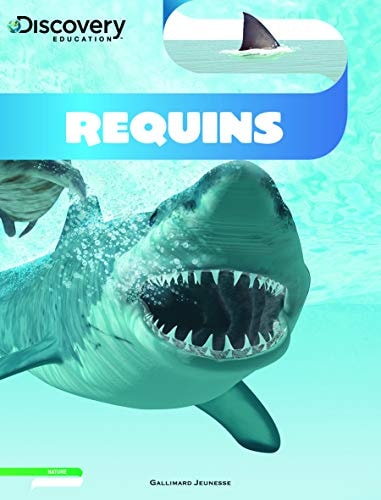 REQUINS, de David [VNVB] Stephens | portada del libro