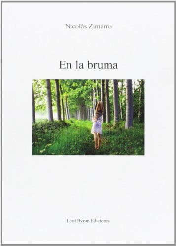 EN LA BRUMA, de ZIMARRO BRAVO | portada del libro