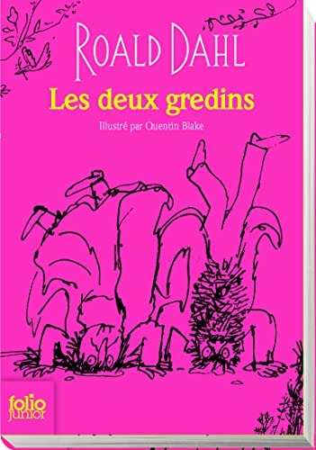 Les deux gredins, de Roald Dahl | portada del libro