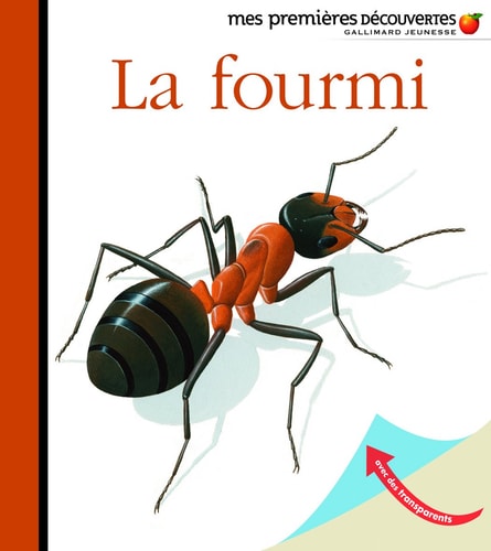 LA FOURMI, de René Mettler | portada del libro
