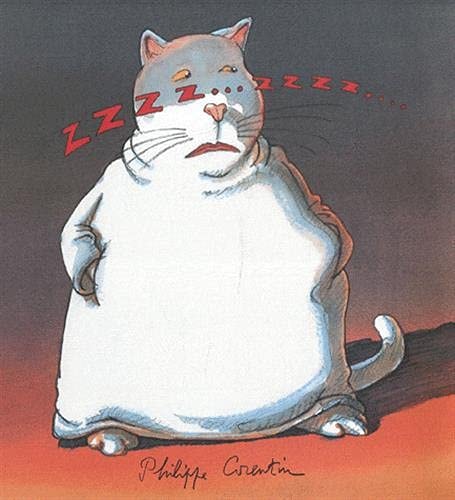 ZZZ... ZZZZ..., de Philippe Corentin | portada del libro