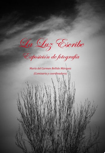 La Luz Escribe | portada del libro