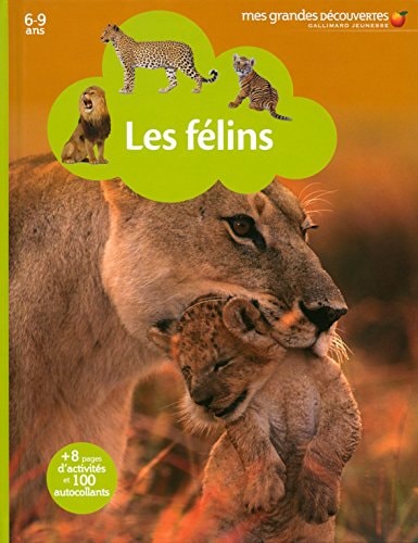 LES FELINS, de Collectif | portada del libro