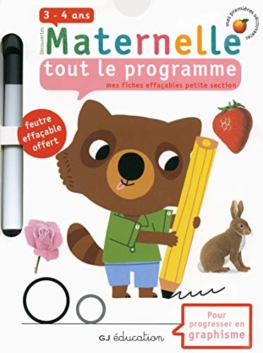 TOUT LE PROGRAMME MES FICHES EFFACABLES PETITE SECTION, de Delphine Gravier | portada del libro
