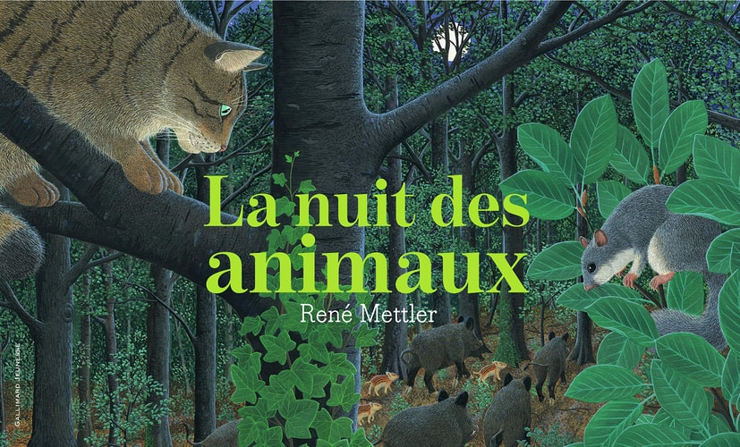 LA NUIT DES ANIMAUX, de René Mettler | portada del libro