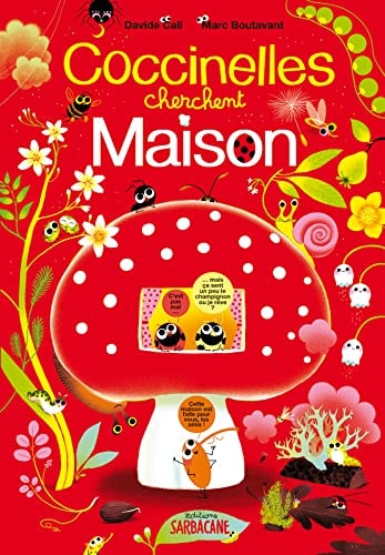 OCCINELLES CHERCHENT MAISON, de Marc Boutavant | portada del libro