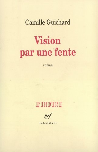 VISION PAR UNE FENTE, de Camille Guichard | portada del libro
