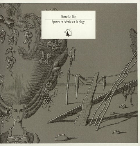 EPAVES ET DEBRIS SUR LA PLAGE, de Pierre Le-Tan | portada del libro