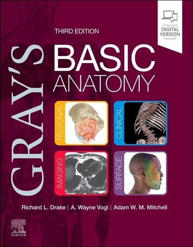 GRAY'S BASIC ANATOMY 3RD.EDITION, de Richard L. Drake | portada del libro