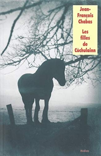 ES FILLES DE CUCHULAINN, de Jean-François Chabas | portada del libro