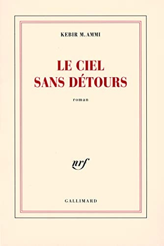 LE CIEL SANS DETOURS, de Ammi | portada del libro