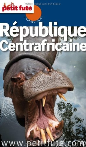 EP CENTRAFRICAINE 2012-2013 PETIT FUTE, de Dominique Auzias | portada del libro