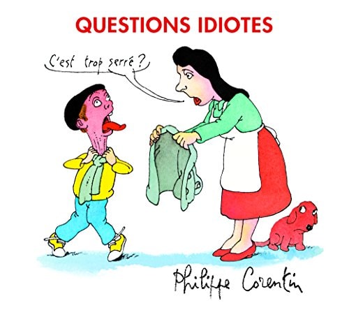 UESTIONS IDIOTES, de Philippe Corentin | portada del libro