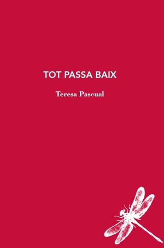 Tot passa baix, de PASCUAL | portada del libro