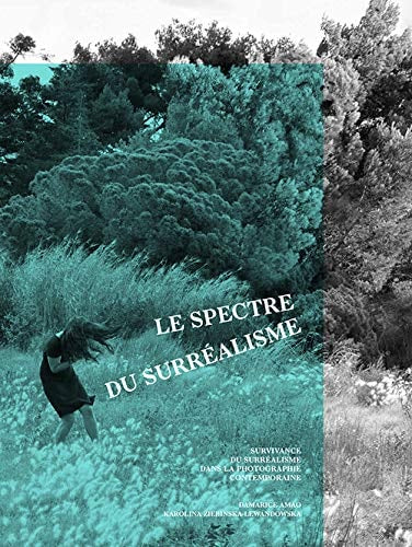 LE SPECTRE DU SURREALISME, de Damarice Amao | portada del libro