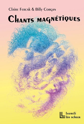 HANTS MAGNETIQUES, de Claire Fercak | portada del libro