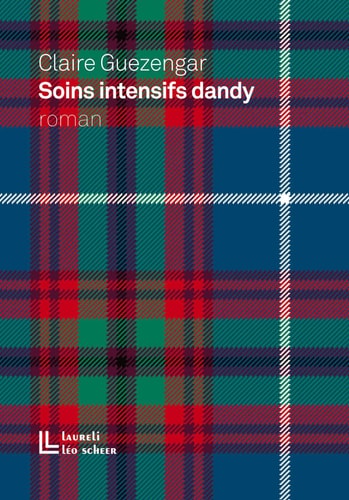 OINS INTENSIFS DANDY, de Claire Guézengar | portada del libro
