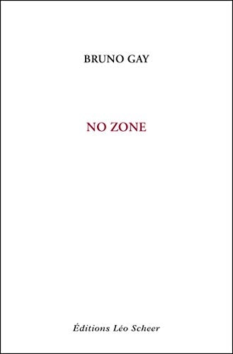 O ZONE, de Bruno Gay | portada del libro
