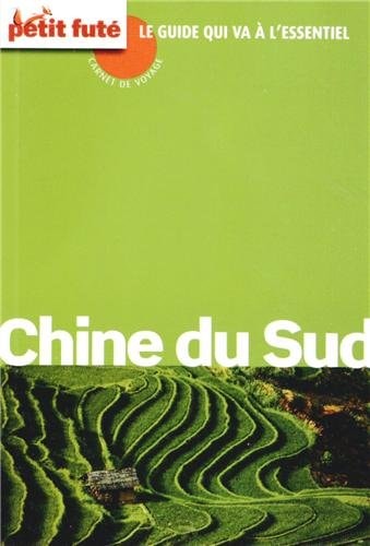 HINE DU SUD 2013 CARNET VOYAGE PT FUTE, de Dominique Auzias | portada del libro