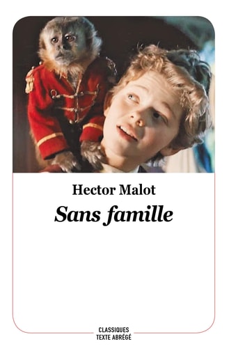 ANS FAMILLE, de Hector Malot | portada del libro