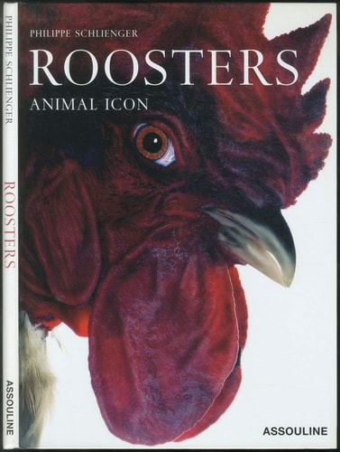 ROOSTERS (COQS) (ANGLAIS), de Philippe Schlienger | portada del libro