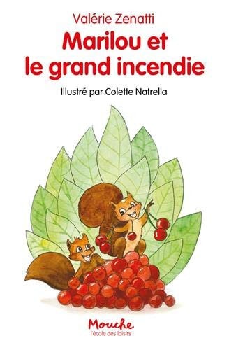 ARILOU ET LE GRAND INCENDIE, de Valérie Zenatti | portada del libro