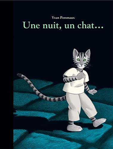 NE NUIT, UN CHAT..., de Yvan Pommaux | portada del libro
