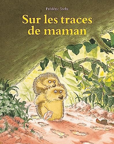 UR LES TRACES DE MAMAN, de Frédéric Stehr | portada del libro