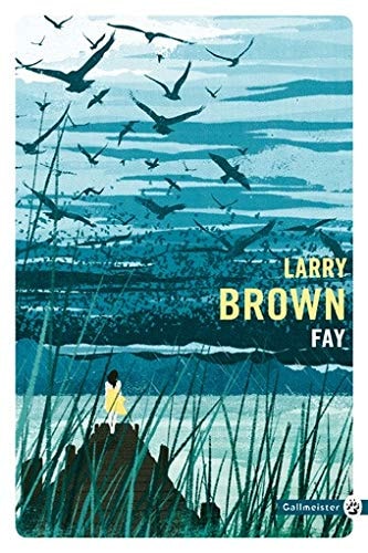 Fay, de Larry Brown | portada del libro