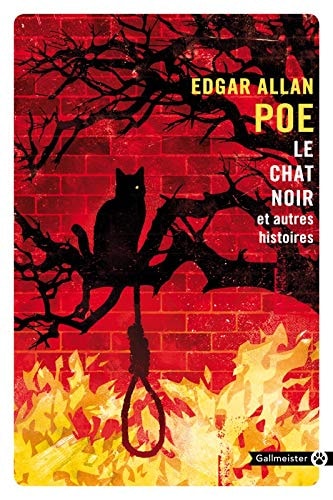 Le chat noir et autres histoires, de Edgar Allan Poe | portada del libro
